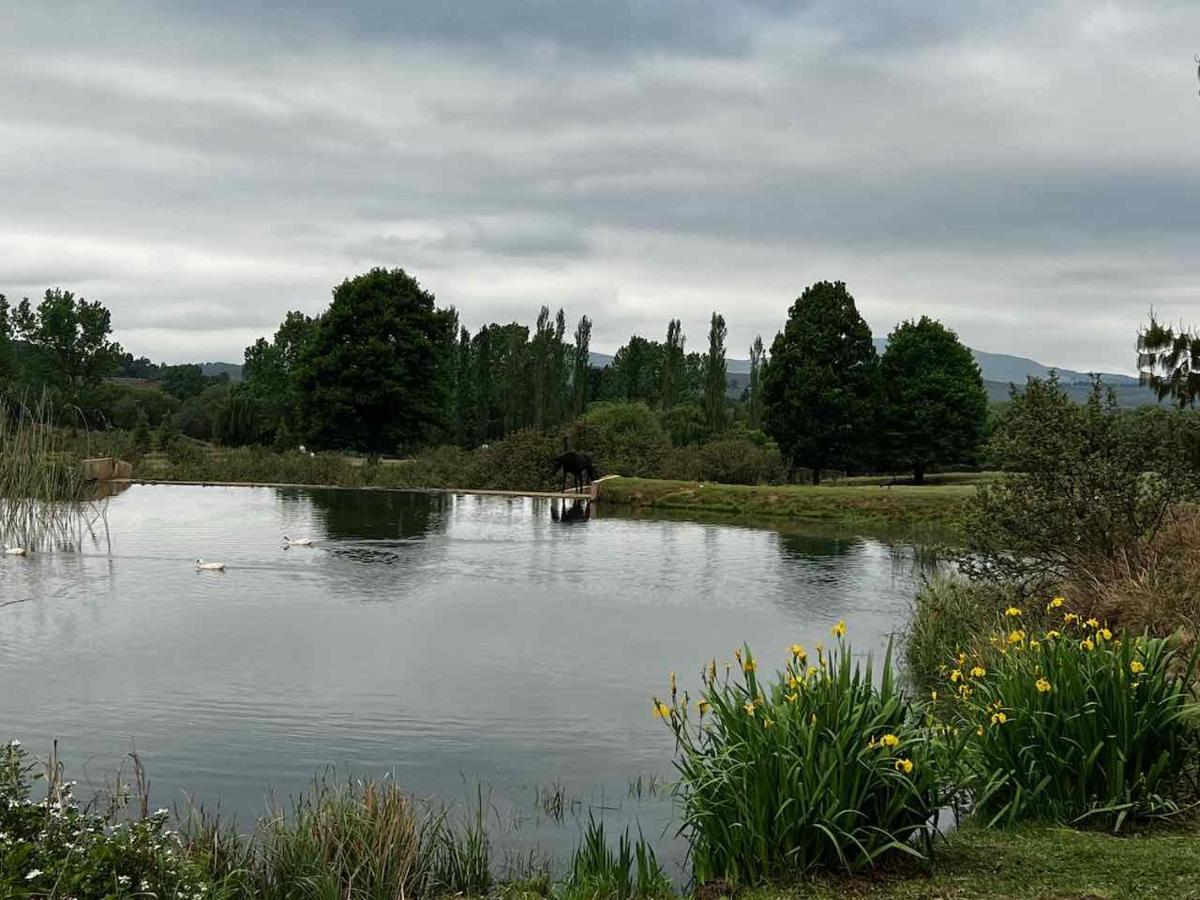 Malachite Manor Underberg Exterior photo